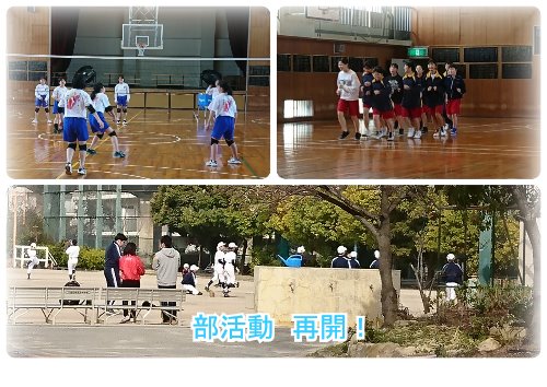 新体操練習着カラーオーダー お休み中 soccoalto.com